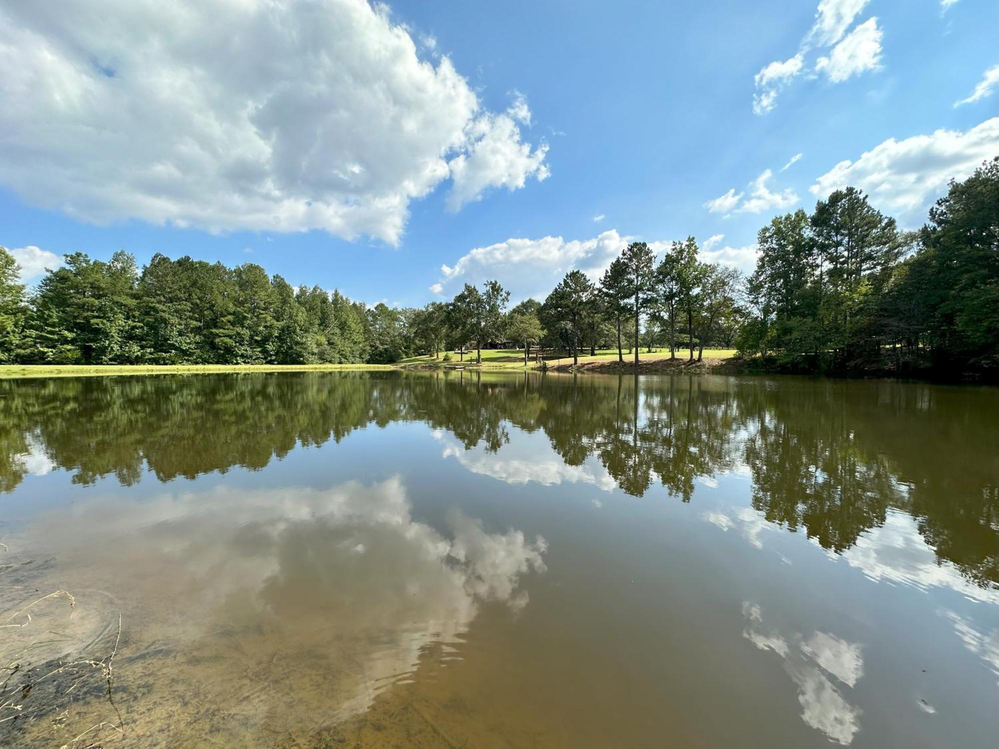 לוקוסט גרוב Refuge Ranch Retreat Log Cabin Lake 53+ Acres מראה חיצוני תמונה